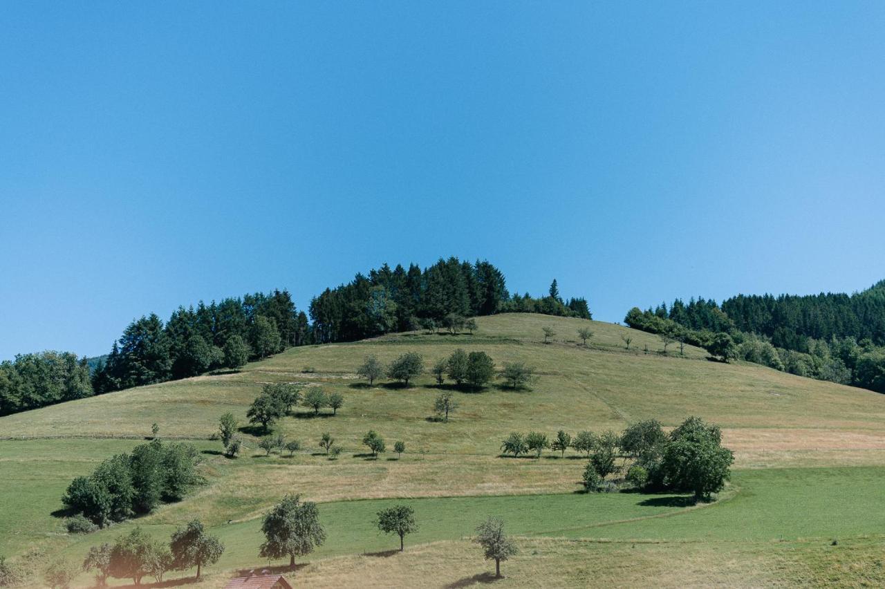 Moderne 2 Zi.-Fewo Blackforestart Naehe Freiburg Simonswald Dış mekan fotoğraf