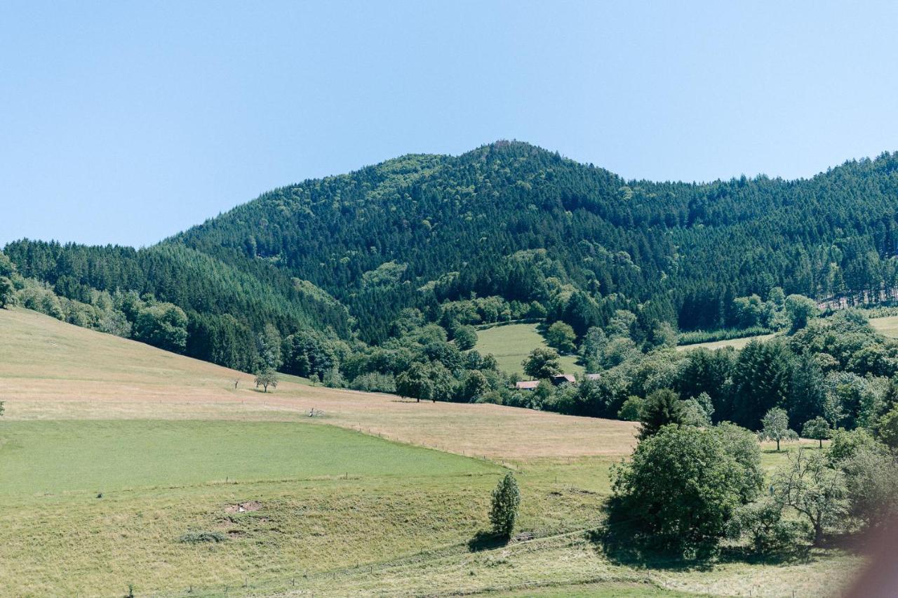 Moderne 2 Zi.-Fewo Blackforestart Naehe Freiburg Simonswald Dış mekan fotoğraf